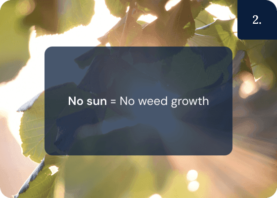 Mats work by preventing sunlight giving nutrients for weeds