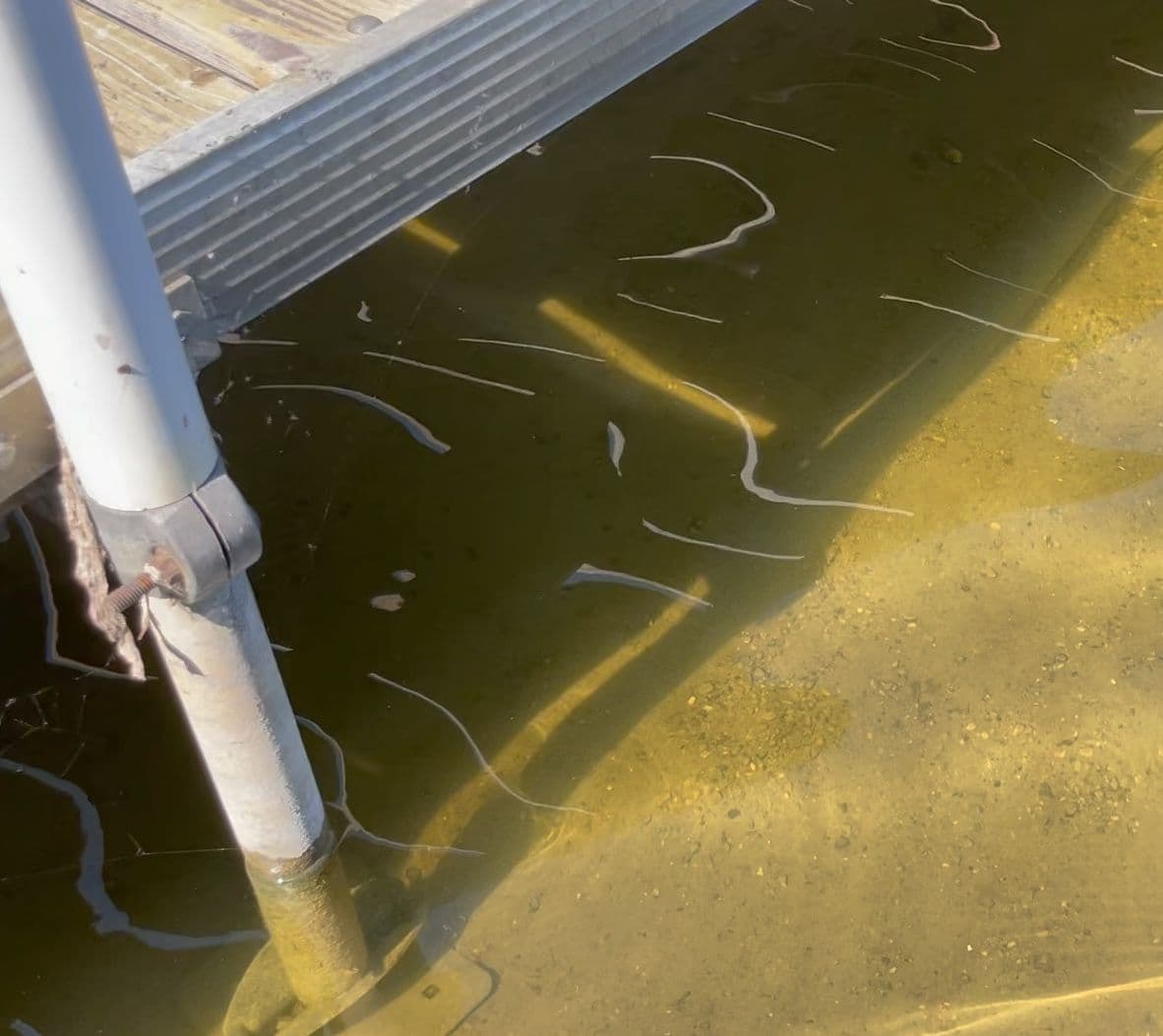 DockMat creates a weed free area around your dock