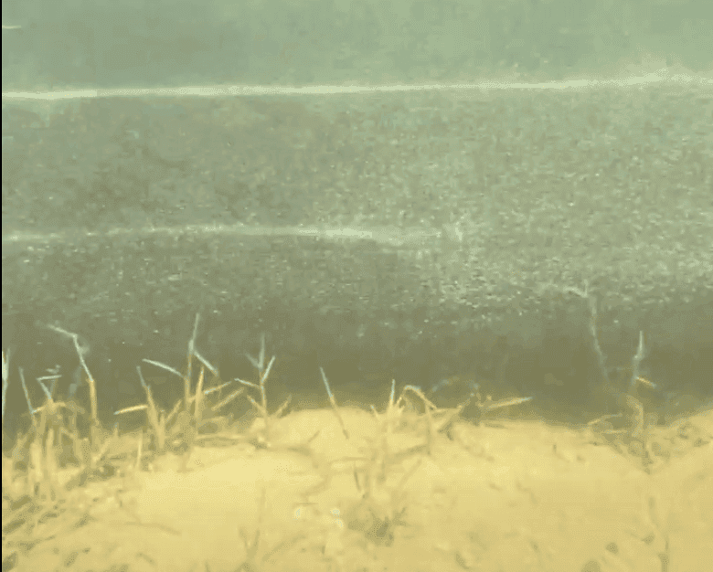 LakeMats prevent sunlight from getting to lake weeds