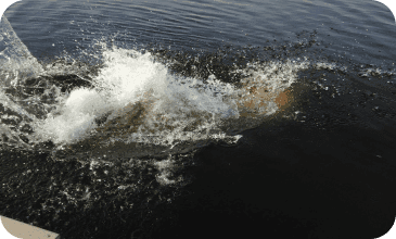 Prevents the dock poles from getting stuck in soft lake bottoms