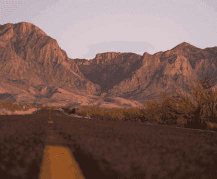 SandMat fabric is tough and will not be destroyed by animals